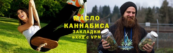 твердый Протвино