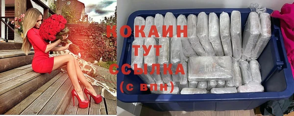 твердый Протвино