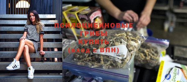 не бодяженный Приозерск