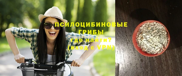твердый Протвино