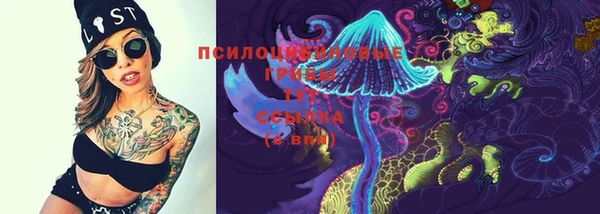твердый Протвино