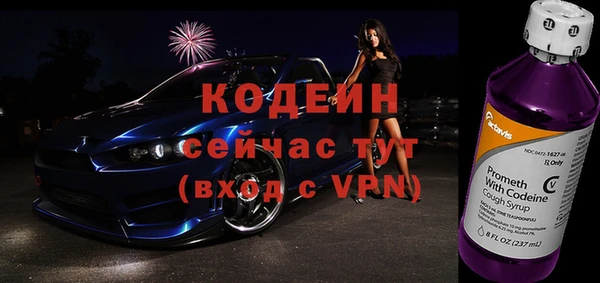 твердый Протвино